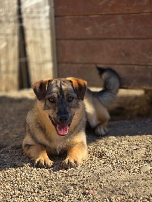 WhatsApp Image 2026 04 06 at 09.03.22 (3)