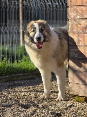 WhatsApp Image 2026 04 07 at 08.23.11