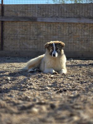 WhatsApp Image 2026 04 07 at 08.23.14 (1)