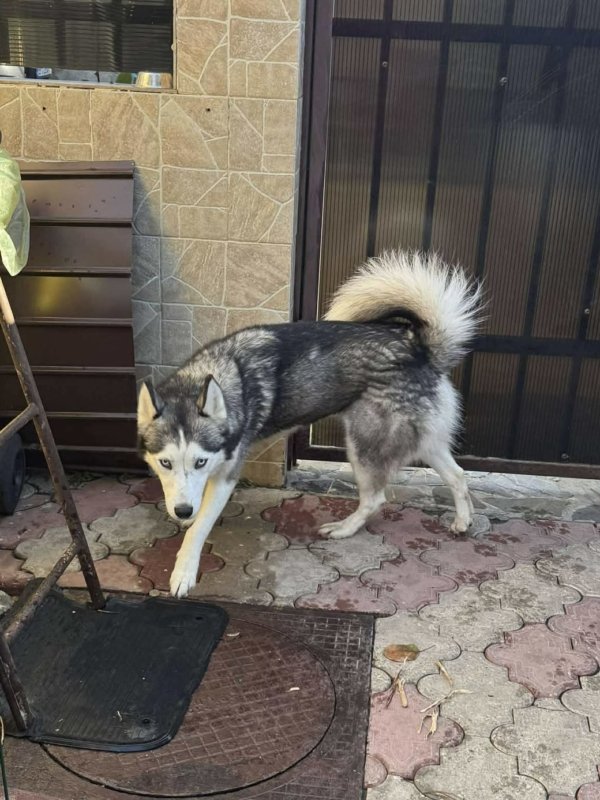 E1ed867eff7bd548a394e07905dedbb4