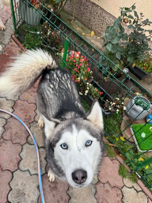 F452d91623f3df086c0cdd5b96475f6d