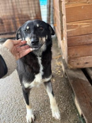 01ead22d a579 4fbe a8be 23bb3e7c8abe 768x1024