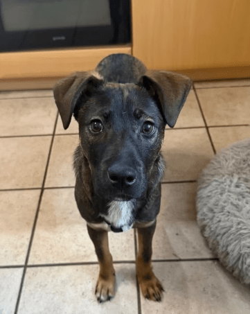 2026 01 12 10 05 11 Posteingang Sina.Rieke Kroeger@oetker.com Outlook