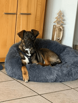 2026 01 12 10 05 19 Posteingang Sina.Rieke Kroeger@oetker.com Outlook