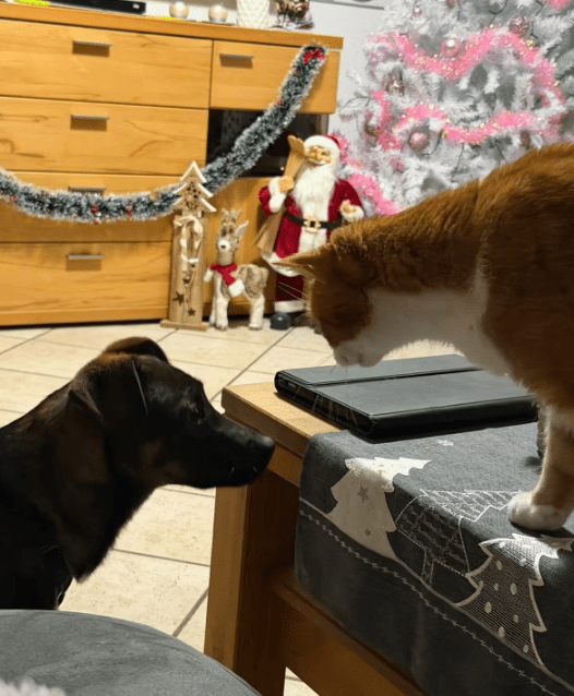 2026 01 12 10 05 57 Posteingang Sina.Rieke Kroeger@oetker.com Outlook