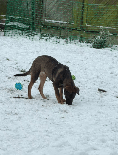 2026 01 12 10 06 03 Posteingang Sina.Rieke Kroeger@oetker.com Outlook