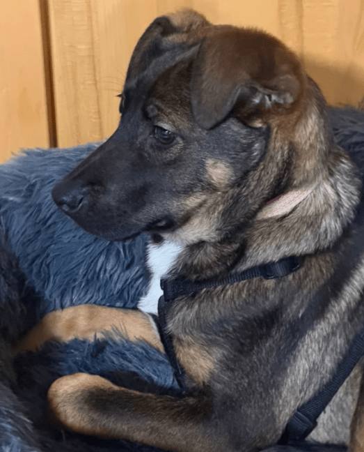 2026 01 12 10 06 06 Posteingang Sina.Rieke Kroeger@oetker.com Outlook