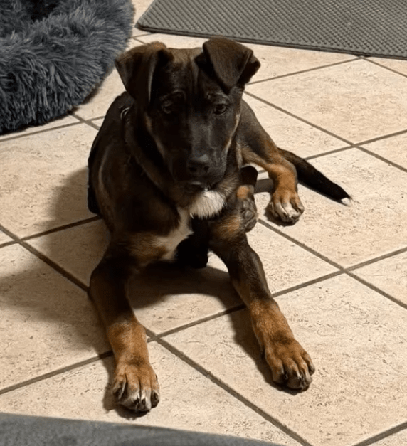 2026 01 12 10 06 10 Posteingang Sina.Rieke Kroeger@oetker.com Outlook