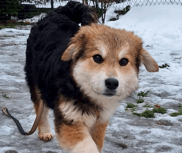 2026 01 19 09 27 13 Quick Alignment New Marketing Project Besprechung