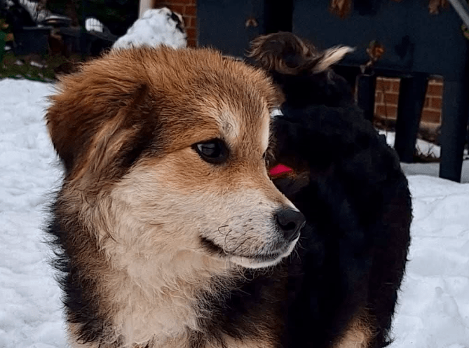 2026 01 19 09 27 17 Quick Alignment New Marketing Project Besprechung