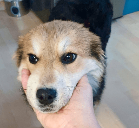 2026 01 19 09 27 20 Quick Alignment New Marketing Project Besprechung