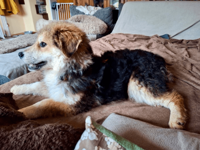 2026 01 19 09 27 23 Quick Alignment New Marketing Project Besprechung