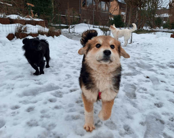 2026 01 19 09 27 32 Quick Alignment New Marketing Project Besprechung