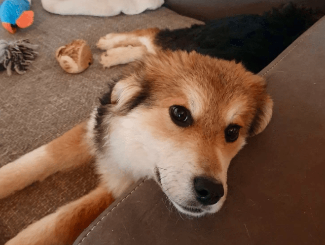 2026 01 19 09 27 41 Quick Alignment New Marketing Project Besprechung