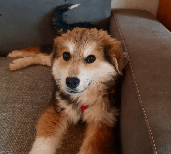 2026 01 19 09 27 47 Quick Alignment New Marketing Project Besprechung