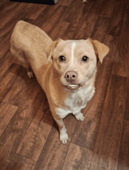 2026 01 26 10 47 06 Posteingang Sina.Rieke Kroeger@oetker.com Outlook