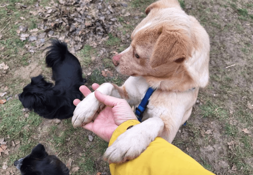 2026 01 26 10 47 10 Posteingang Sina.Rieke Kroeger@oetker.com Outlook