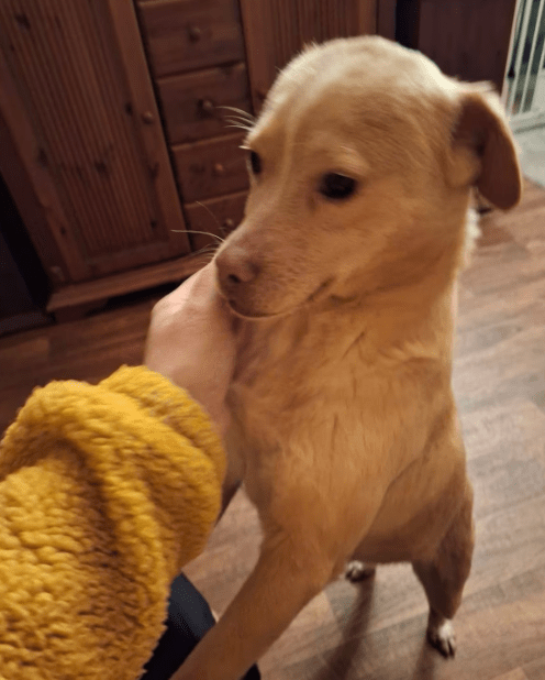 2026 01 26 10 47 17 Posteingang Sina.Rieke Kroeger@oetker.com Outlook