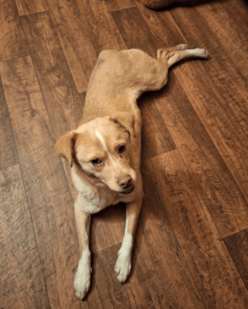 2026 01 26 10 47 23 Posteingang Sina.Rieke Kroeger@oetker.com Outlook