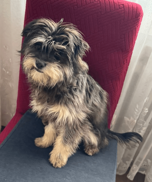 2026 01 26 10 48 47 Posteingang Sina.Rieke Kroeger@oetker.com Outlook