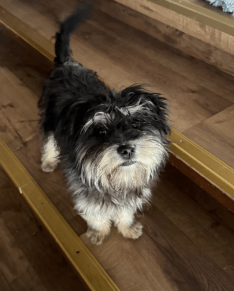 2026 01 26 10 48 50 Posteingang Sina.Rieke Kroeger@oetker.com Outlook