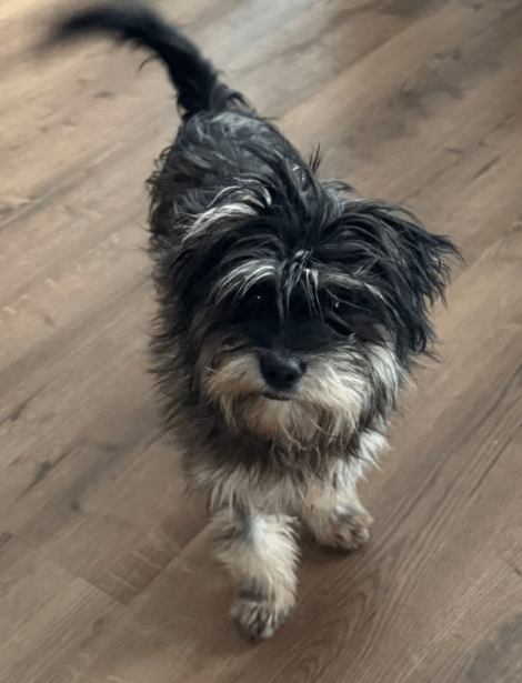 2026 01 26 10 48 54 Posteingang Sina.Rieke Kroeger@oetker.com Outlook