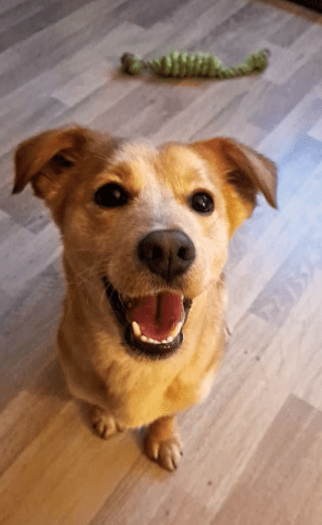 2026 01 31 16 40 56 Zellbiologie OneNote