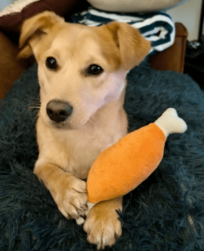 2026 01 31 16 41 00 Zellbiologie OneNote