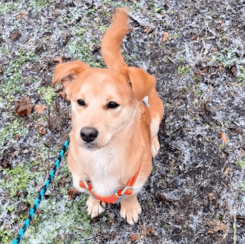 2026 01 31 16 41 05 Zellbiologie OneNote