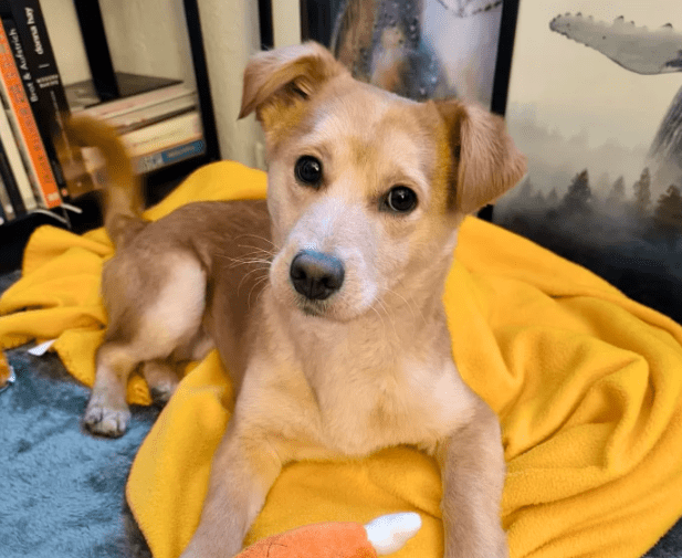 2026 01 31 16 41 11 Zellbiologie OneNote