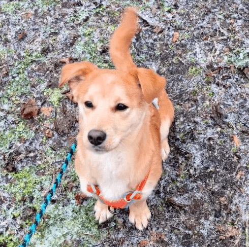 2026 01 31 16 41 23 Zellbiologie OneNote