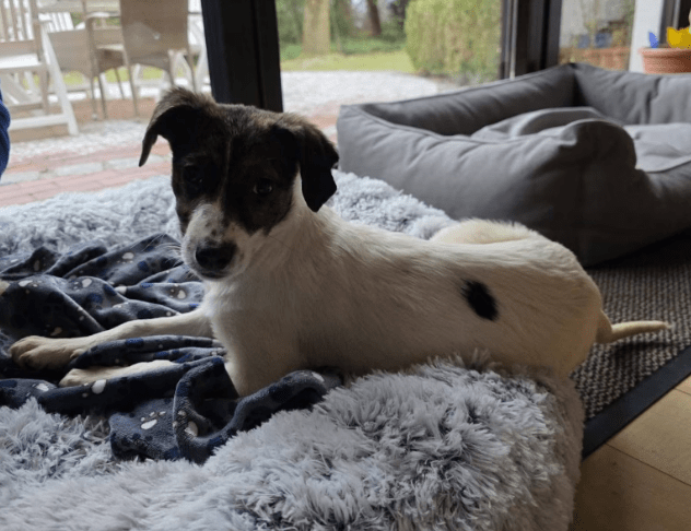 2026 01 31 16 43 23 Zellbiologie OneNote