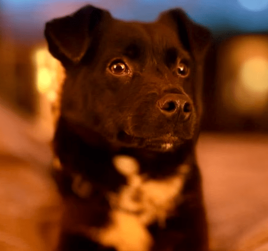 2026 01 31 16 46 58 Zellbiologie OneNote