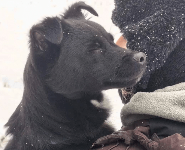 2026 01 31 16 47 08 Zellbiologie OneNote