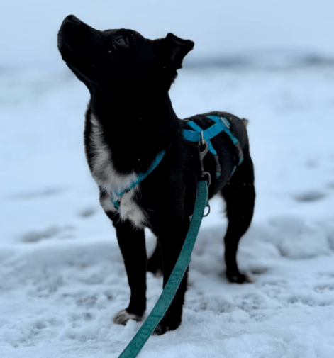 2026 01 31 16 47 14 Zellbiologie OneNote