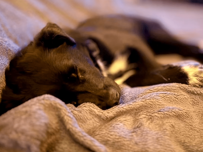 2026 01 31 16 47 27 Zellbiologie OneNote