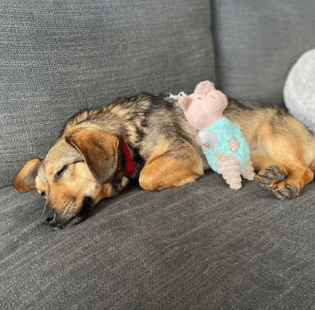 2026 01 31 16 48 43 Zellbiologie OneNote