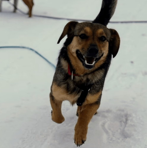 2026 01 31 16 48 48 Zellbiologie OneNote