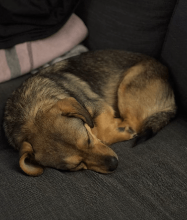 2026 01 31 16 48 59 Zellbiologie OneNote