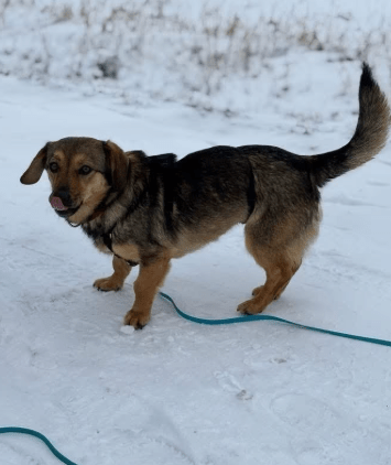 2026 01 31 16 49 06 Zellbiologie OneNote