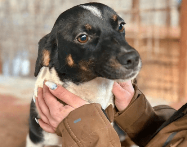 2026 01 31 16 50 58 Zellbiologie OneNote