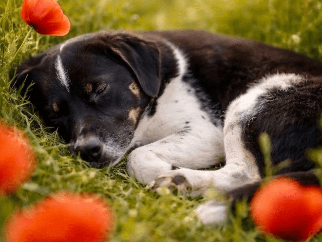 2026 01 31 16 51 08 Zellbiologie OneNote