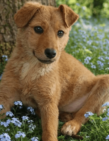 2026 01 31 16 52 33 Zellbiologie OneNote