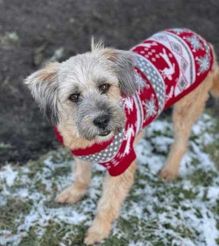 2026 01 31 16 53 59 Zellbiologie OneNote