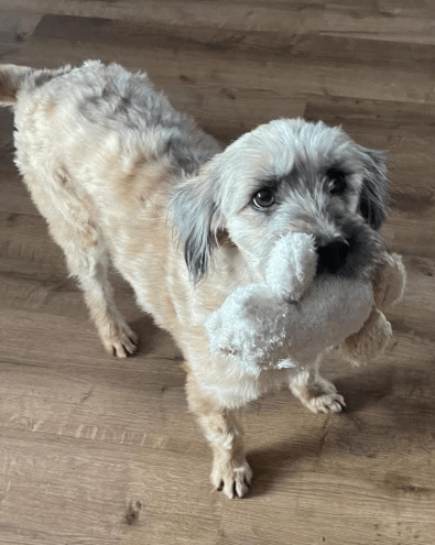 2026 01 31 16 54 03 Zellbiologie OneNote