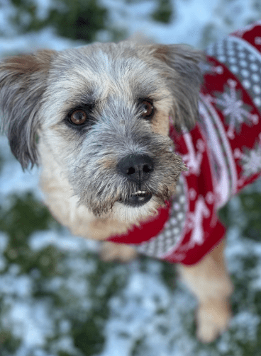 2026 01 31 16 54 13 Zellbiologie OneNote