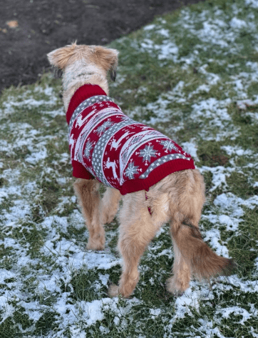 2026 01 31 16 54 27 Zellbiologie OneNote