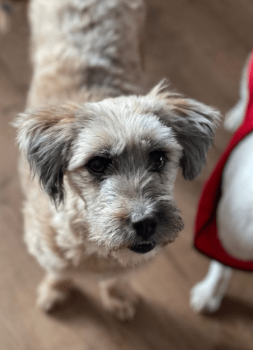 2026 01 31 16 54 31 Zellbiologie OneNote