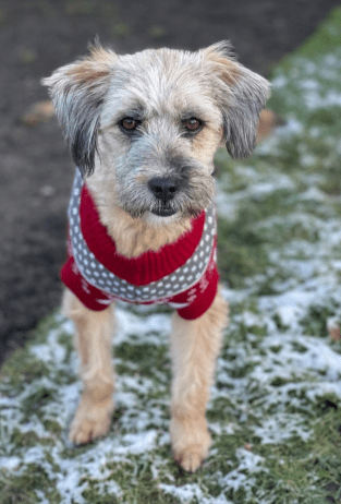 2026 01 31 16 54 45 Zellbiologie OneNote