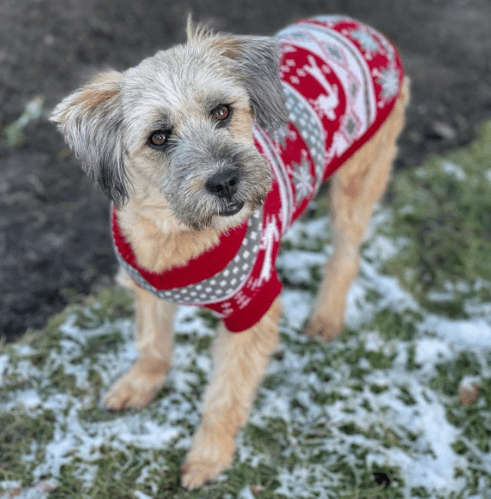 2026 01 31 16 55 02 Zellbiologie OneNote